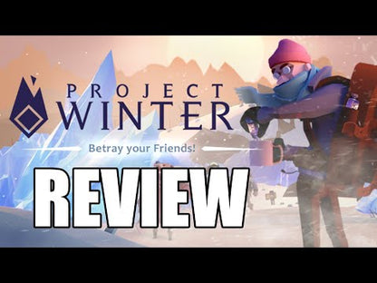 Projekt Winter Steam CD Key