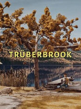 Truberbrook USA Xbox One/Series CD Key