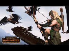Total War: Warhammer - Říše lesních elfů Steam CD Key