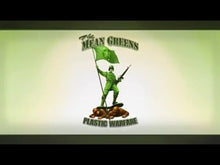 The Mean Greens: Plastová válka Pára CD Key