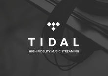 Tidal Music Hi-Fi předplatné na 3 měsíce s předplacenou službou CD Key